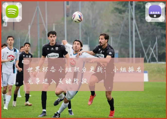 世界杯各小组积分更新:小组排名竞争进入关键阶段