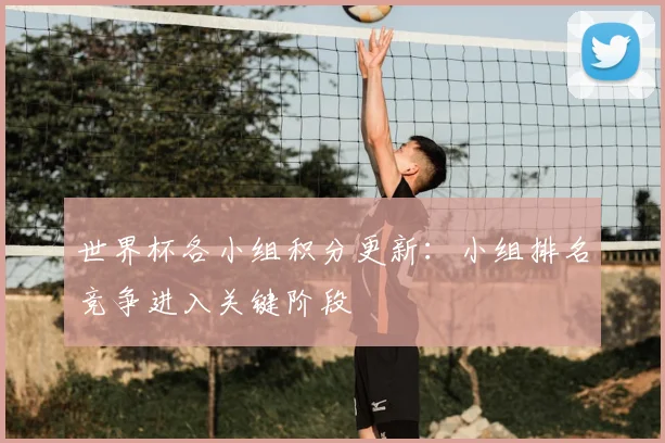 世界杯各小组积分更新：小组排名竞争进入关键阶段