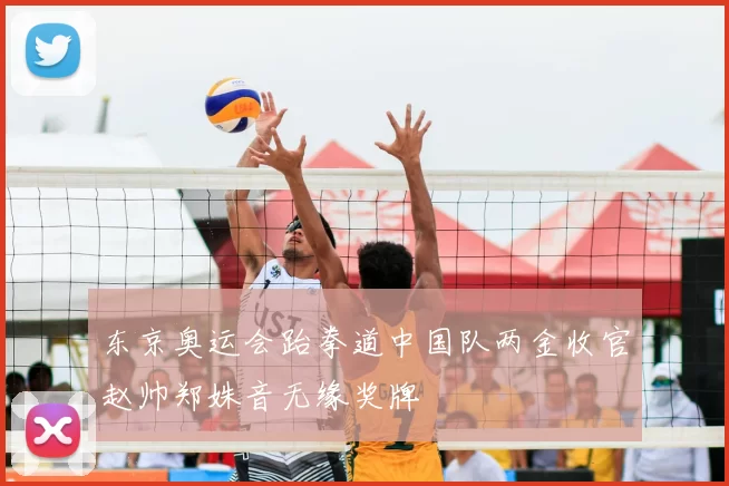 东京奥运会跆拳道中国队两金收官赵帅郑姝音无缘奖牌