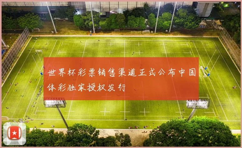 世界杯彩票销售渠道正式公布中国体彩独家授权发行