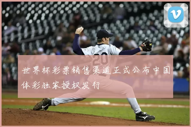 世界杯彩票销售渠道正式公布中国体彩独家授权发行