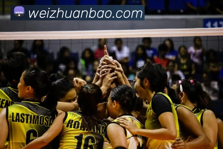 必一运动体育app官网平台生态图