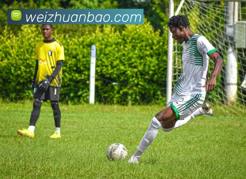 必一运动体育app官网APP 封面图