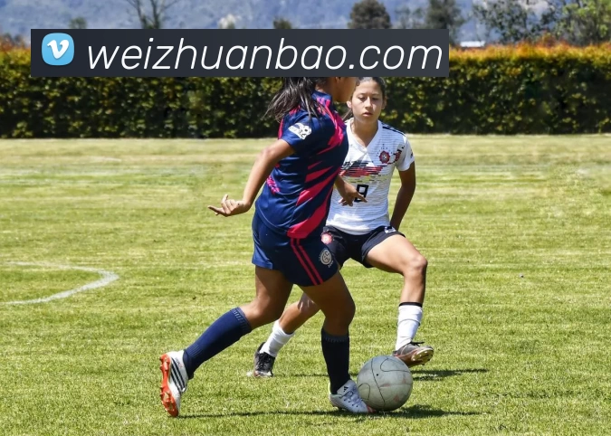 数据防护可视化